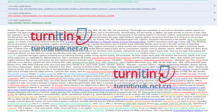 Turnitin QuickView报告2