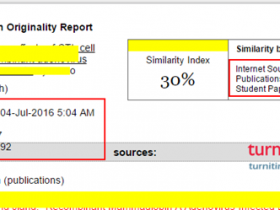 Turnitin论文查重报告参数解读分析