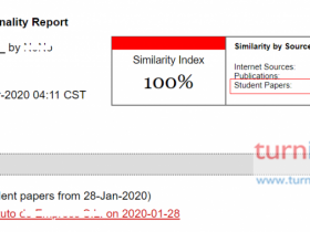 论文被turnitin收录后如何进行查重呢?